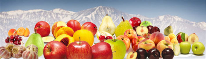 Productos del Manantial