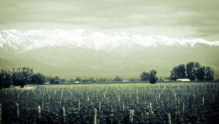 Productos del Manantial S.A.