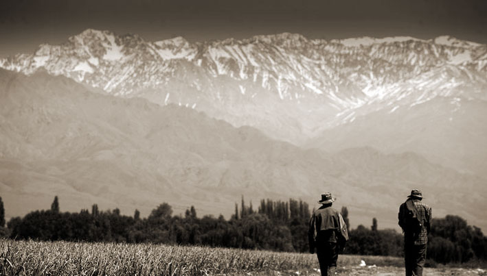 Productos del Manantial S.A.