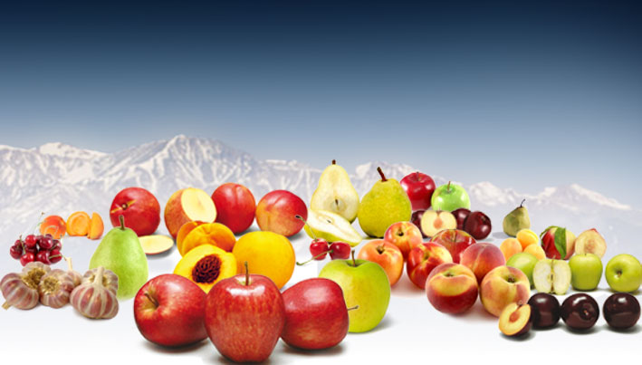 Productos del Manantial S.A.