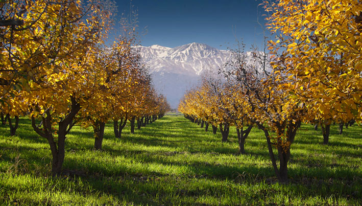 Productos del Manantial S.A.