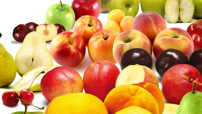 Productos del Manantial S.A.